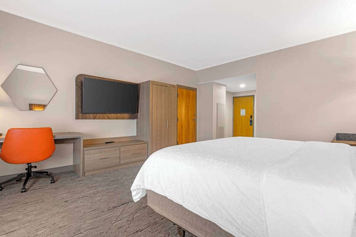 Room, 1 King Bed, Accessible (Roll-In Shower)