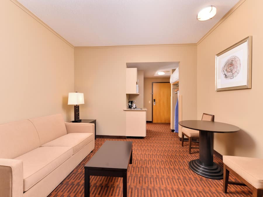 Suite, 1 Bedroom (1 Kng, Sofa Bed, Bth Shwr) | Room amenity
