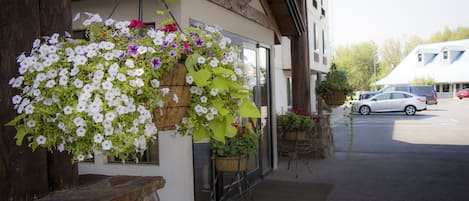 A building entrance with hanging flower baskets and a stone staircase.