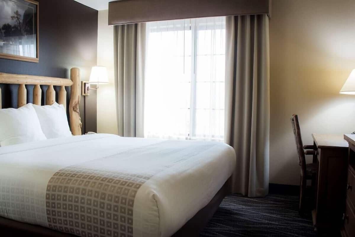 Premium bedding, iron/ironing board, WiFi (free), alarm clocks