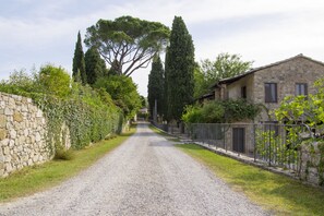Un camino rural que lleva a una casa de piedra con entrada de grava, rodeada de vegetación y árboles altos.