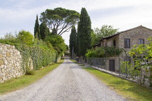 Un camino rural que lleva a una casa de piedra con entrada de grava, rodeada de vegetación y árboles altos.