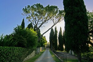 Un sendero bordeado de árboles que lleva a un edificio.