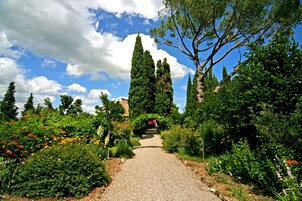 Servicio de la propiedad