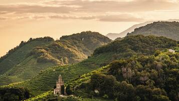 A church surrounded by lush green hills and terraced vineyards.