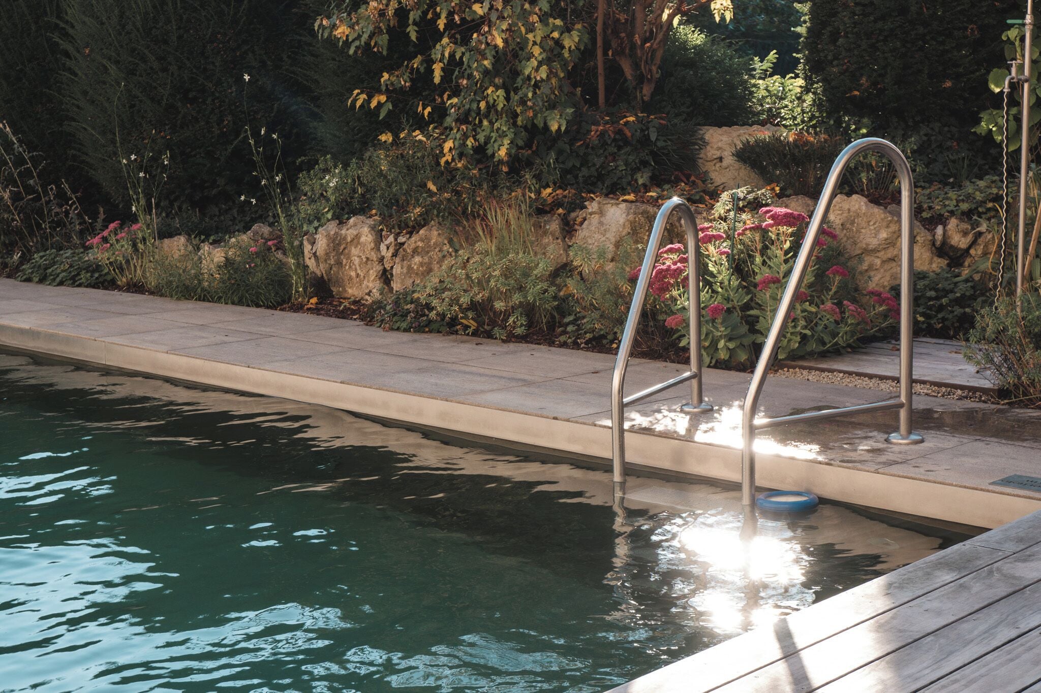 Ein Schwimmbecken mit Metallleitern, umgeben von einem Garten mit verschiedenen Pflanzen und Blumen.