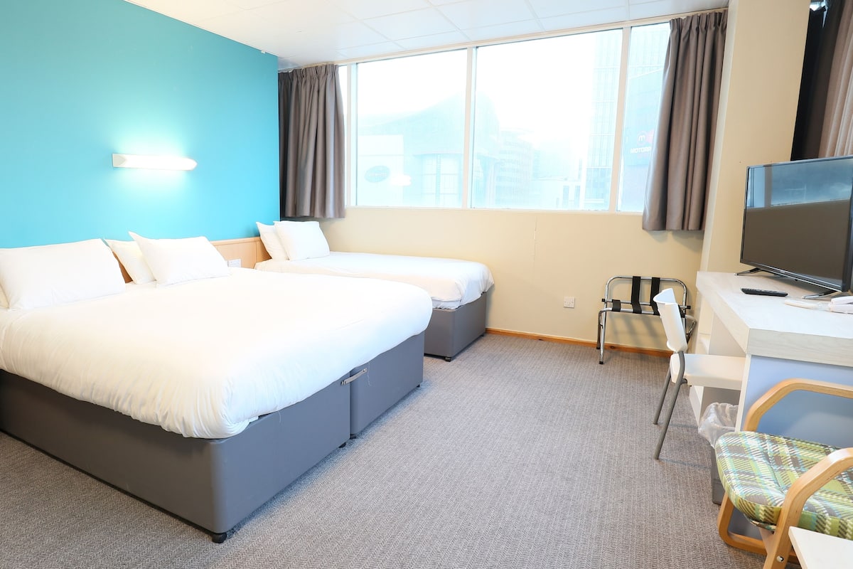 Family Room | Hypo-allergenic bedding, blackout drapes, soundproofing