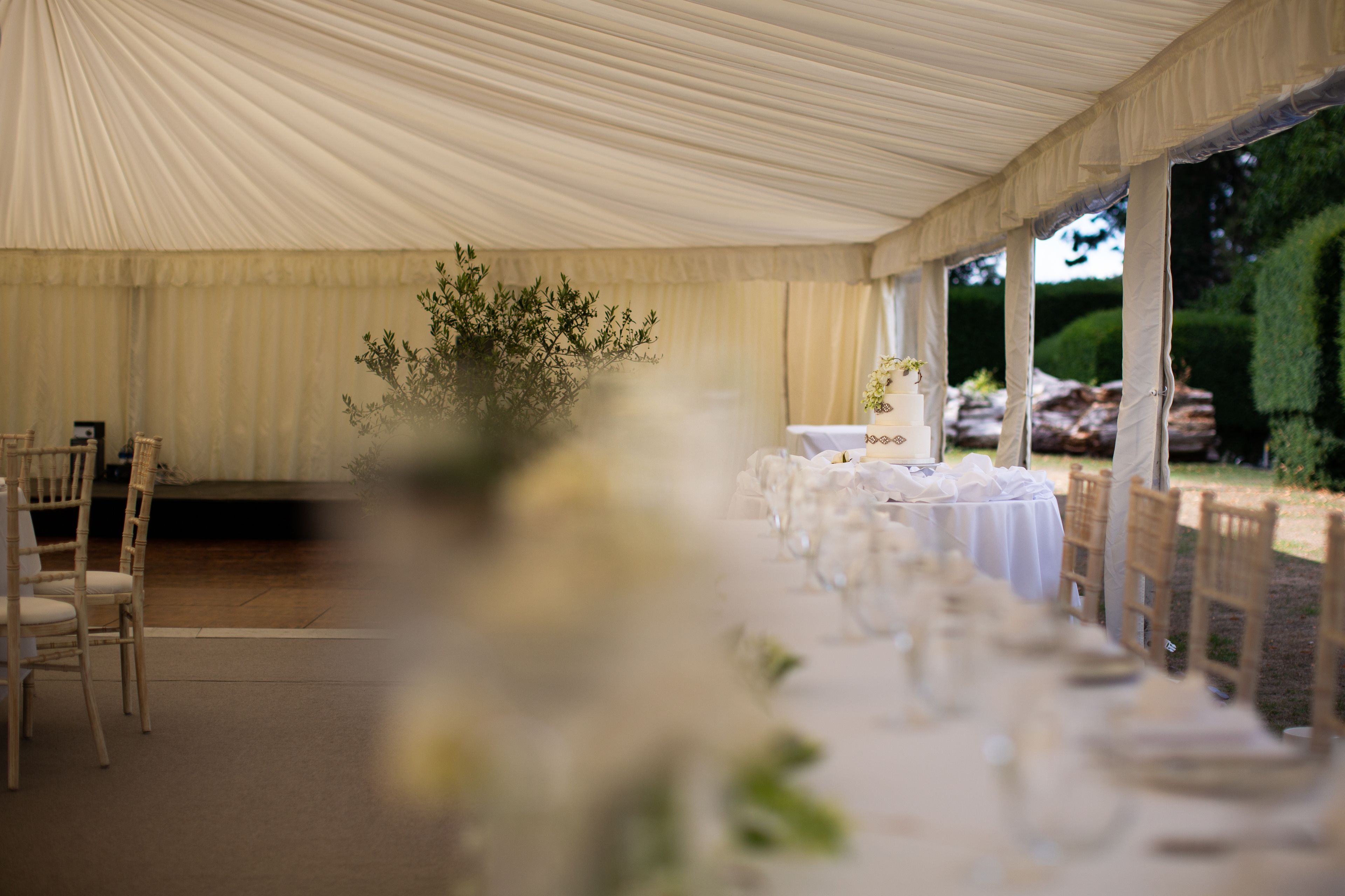 outdoor wedding area