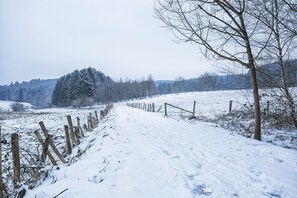Wandern