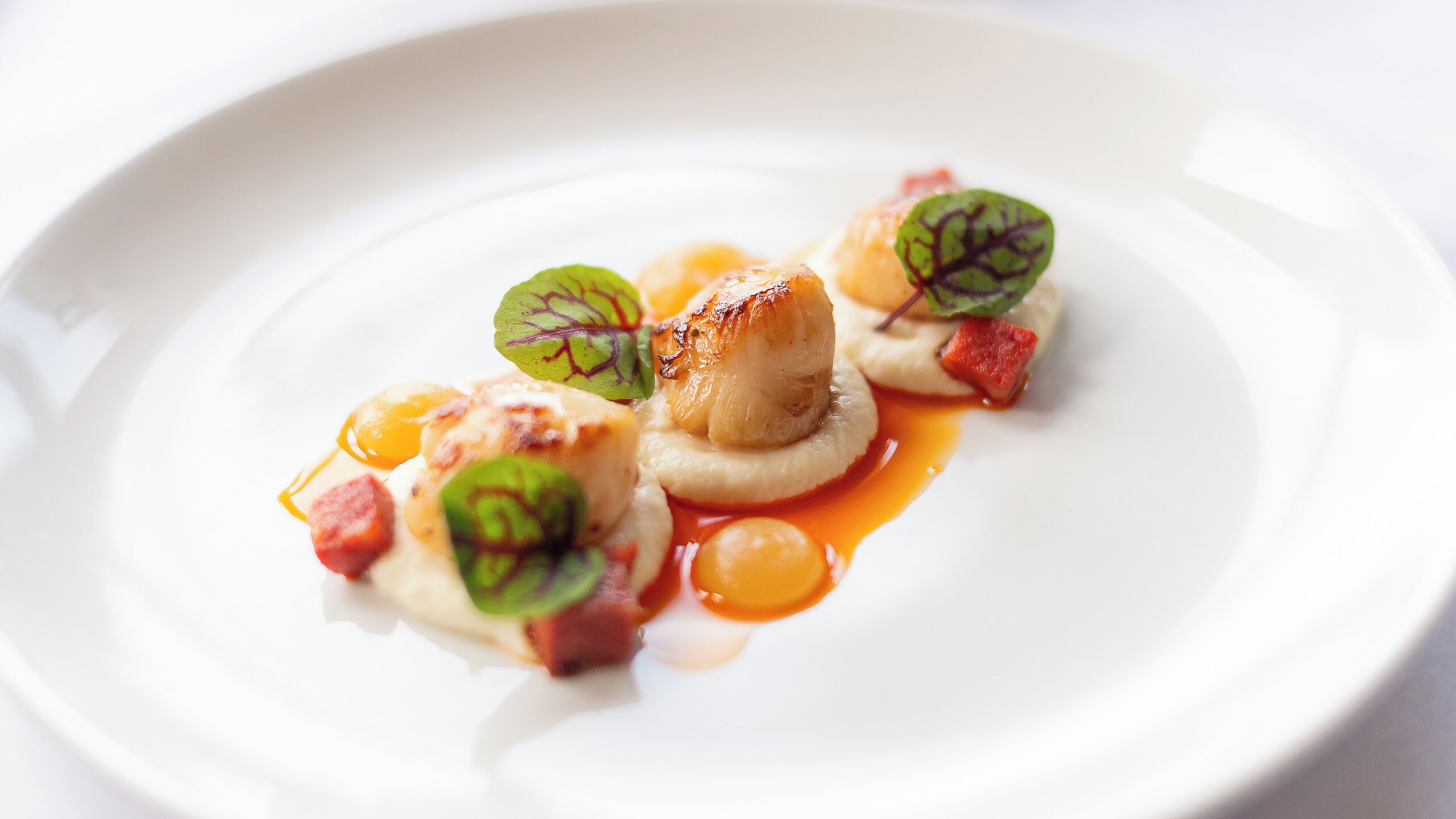 A white plate with a seared scallop, a dollop of sauce, and a garnish of green leaves.