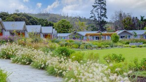 A row of modern, single-story cabins with a paved walkway leading through a landscaped garden. - Knysna Hollow Country Estate (Knysna)