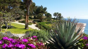 A garden with a variety of plants, a palm tree, and a bench area. -  Boutique Hotel Vivenda Miranda (Lagos)