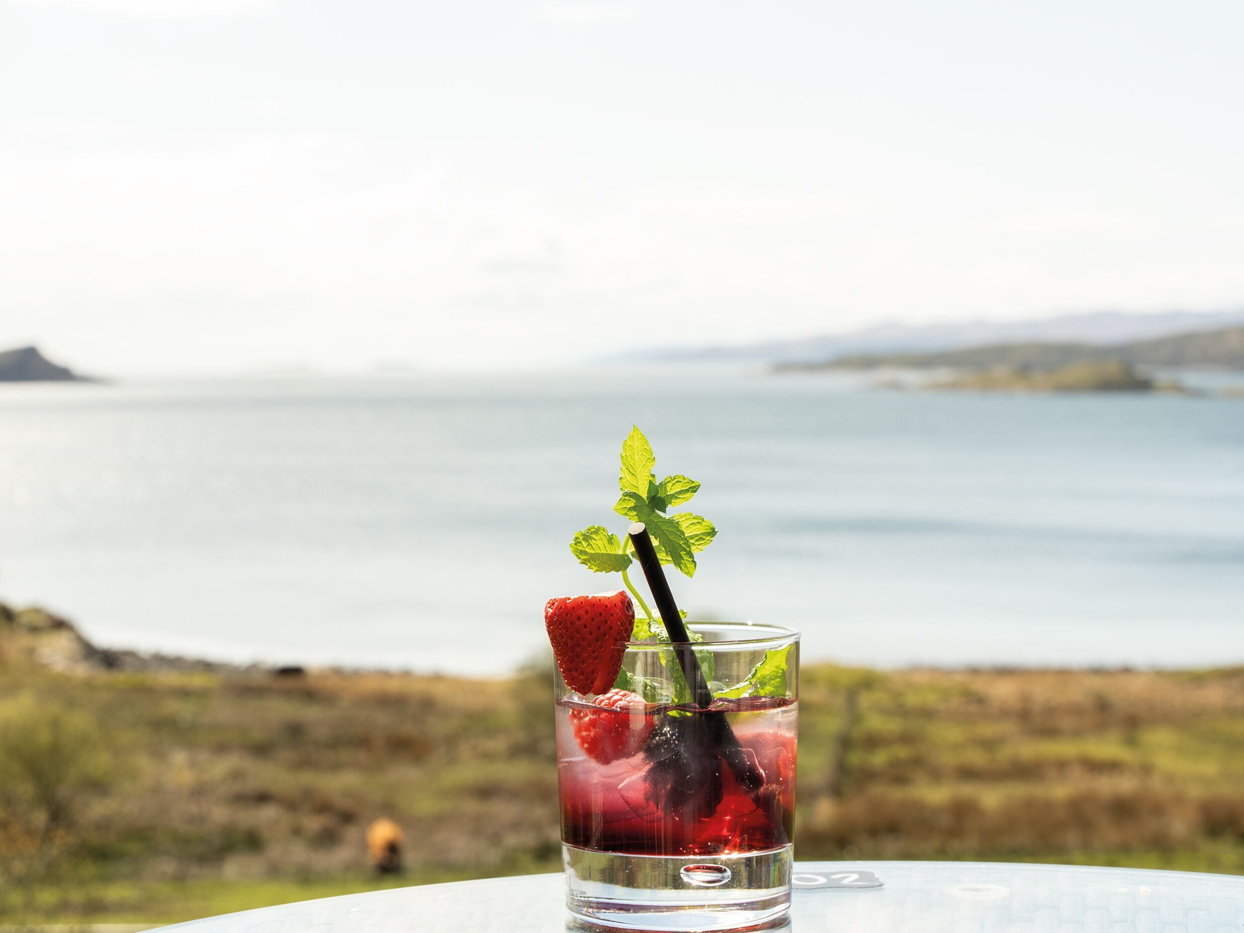 A glass of drink with a strawberry and mint garnish on a table with a view of a body of water and distant land.
