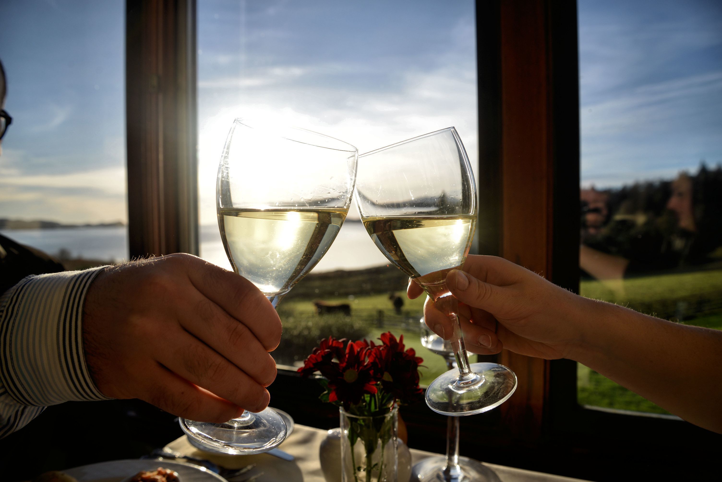 Dos personas brindando con copas de vino en una mesa con vistas a un paisaje.