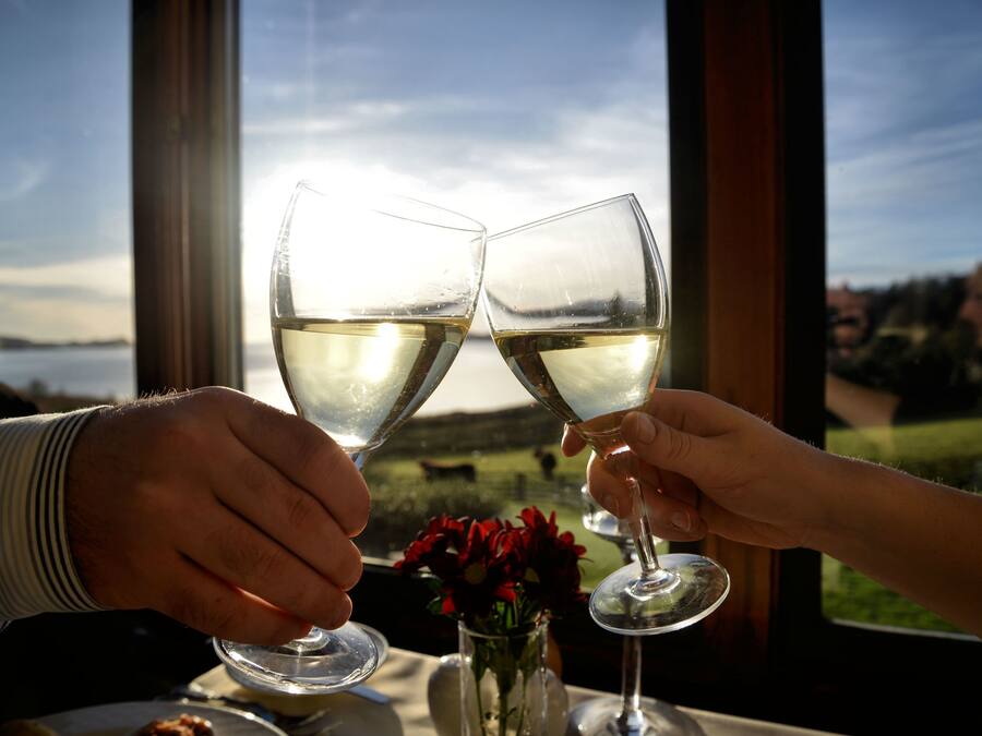 Dos personas brindando con copas de vino en una mesa con vistas a un paisaje.