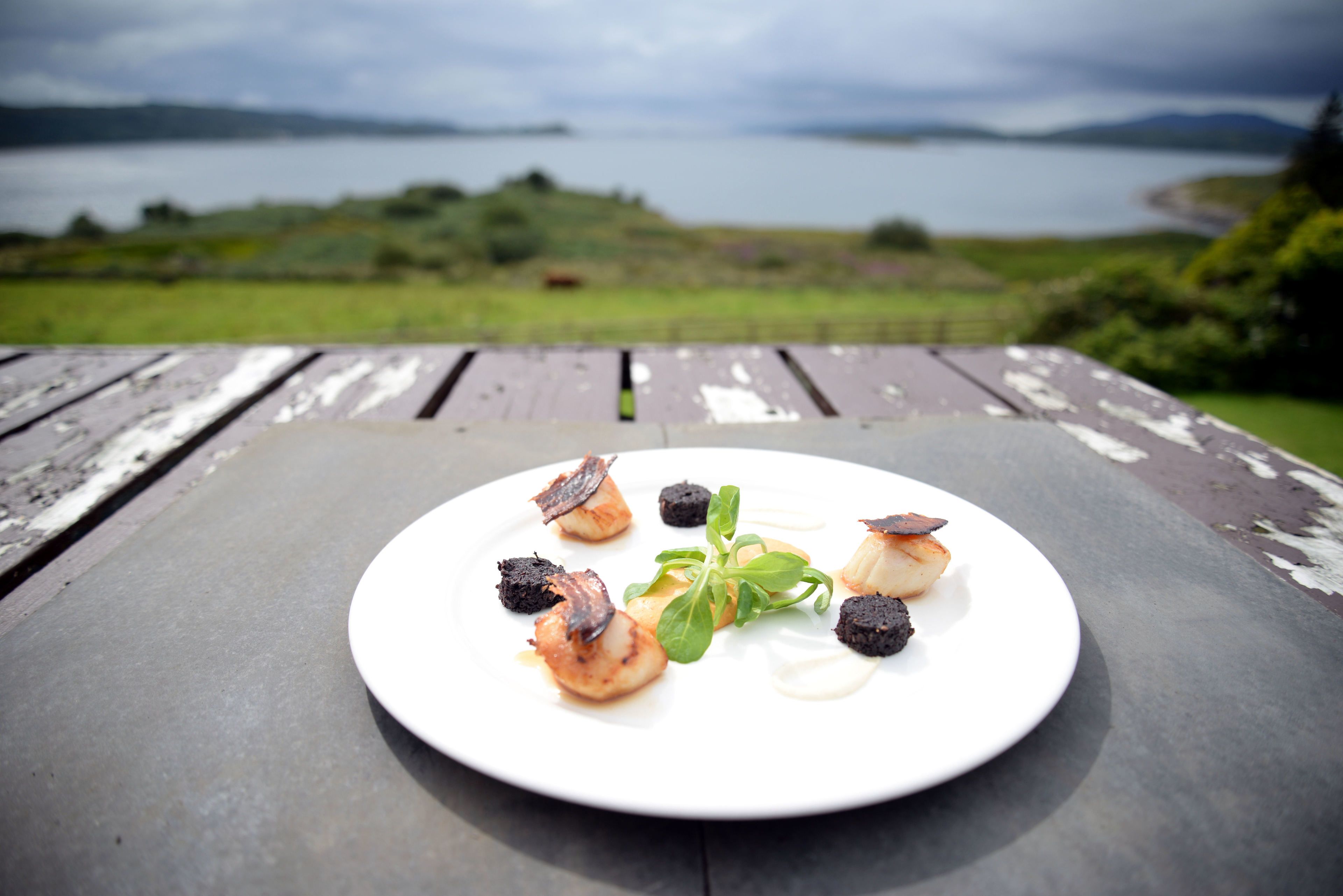 A plate of food on a wooden table with a scenic view of a lake and hills in the background.