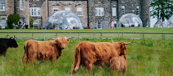 Meldrum House Country Hotel & Golf Course
