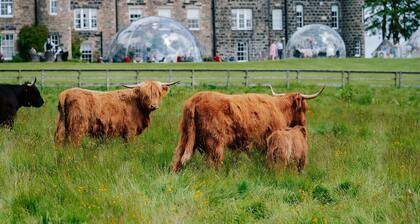 Meldrum House Country Hotel & Golf Course