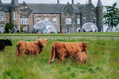 Meldrum House Country Hotel & Golf Course