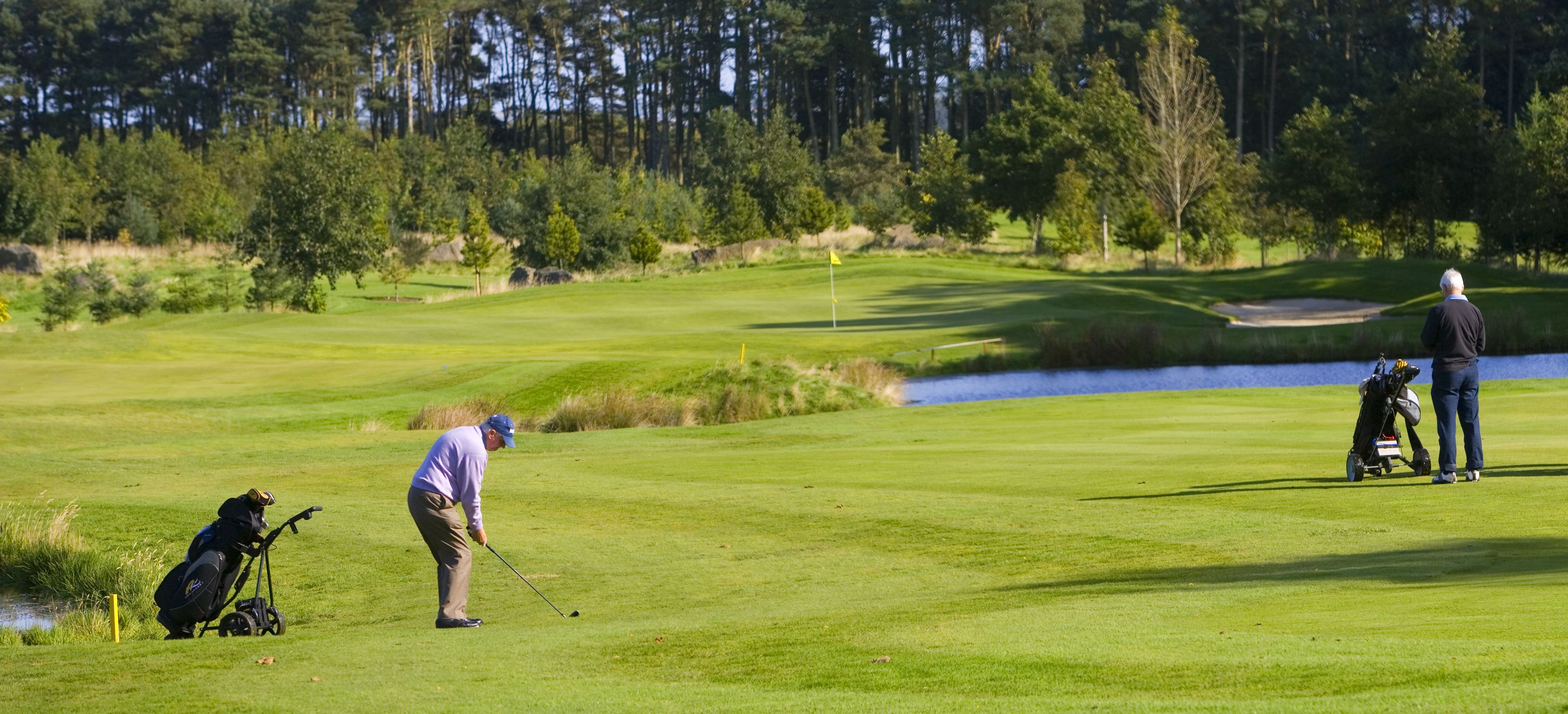 A golf course with a water hazard, a sand bunker, and a flagstick.