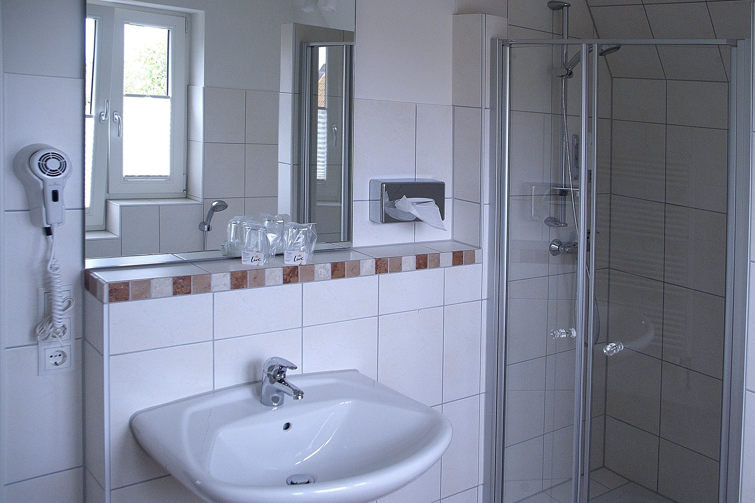 business double room | bathroom sink