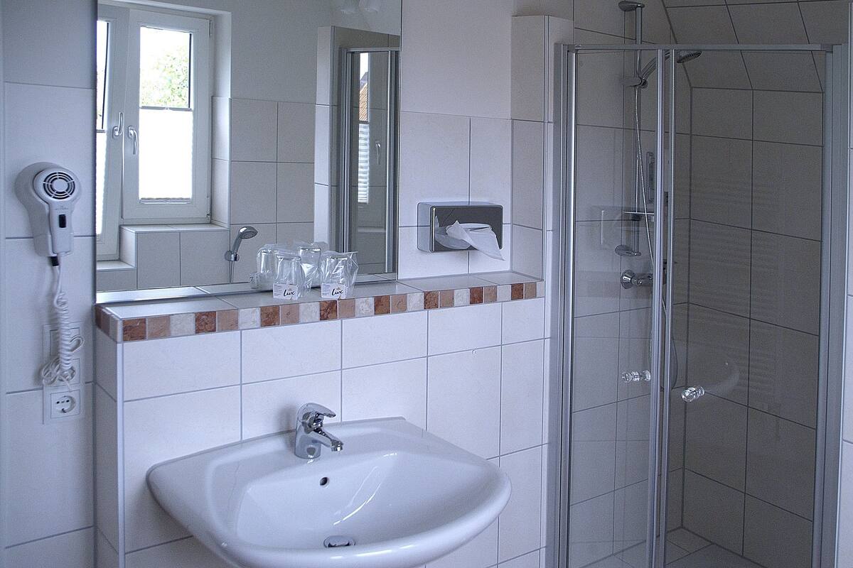 business double room | bathroom sink