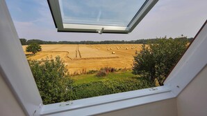 A view through a window of a field with hay bales and trees.