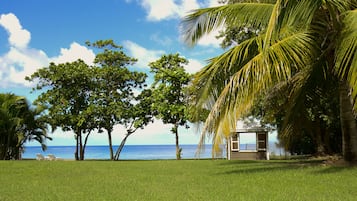 Playa privada en los alrededores y traslado desde/hacia la playa gratis