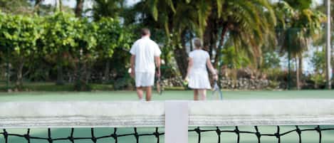 A tennis court with a net, surrounded by greenery and palm trees.