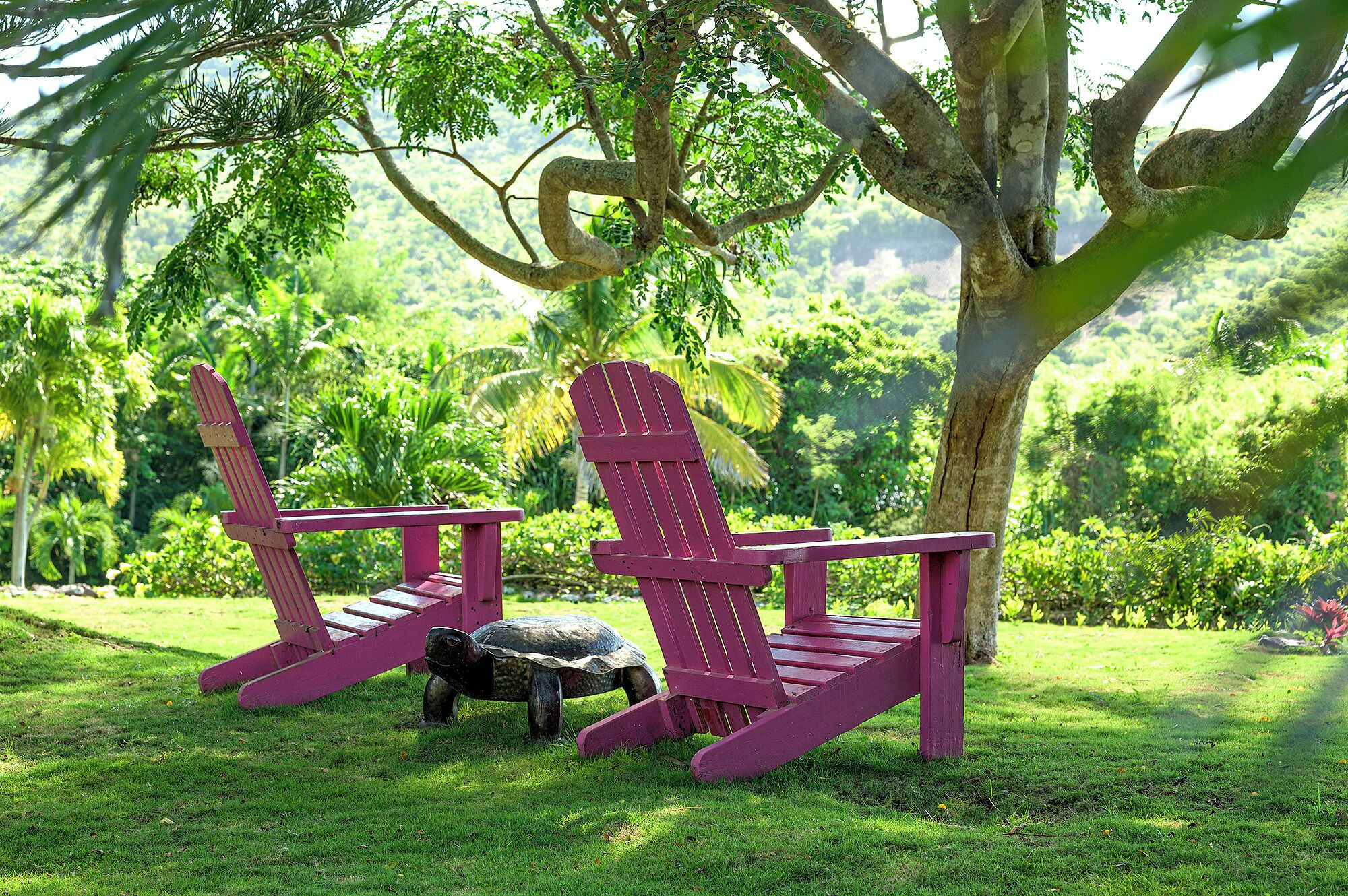 Dos sillas Adirondack bajo un árbol en un jardín exuberante.