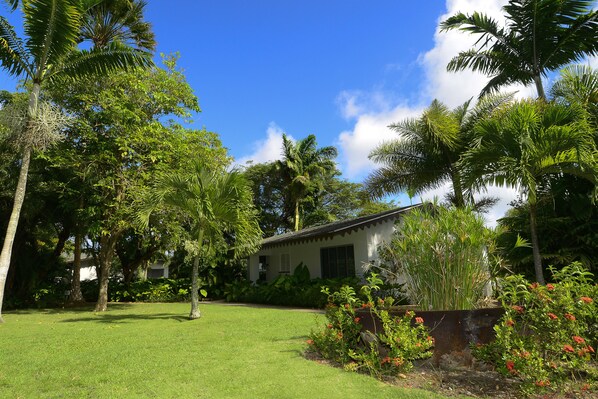 Phòng Premier | Quang cảnh từ phòng