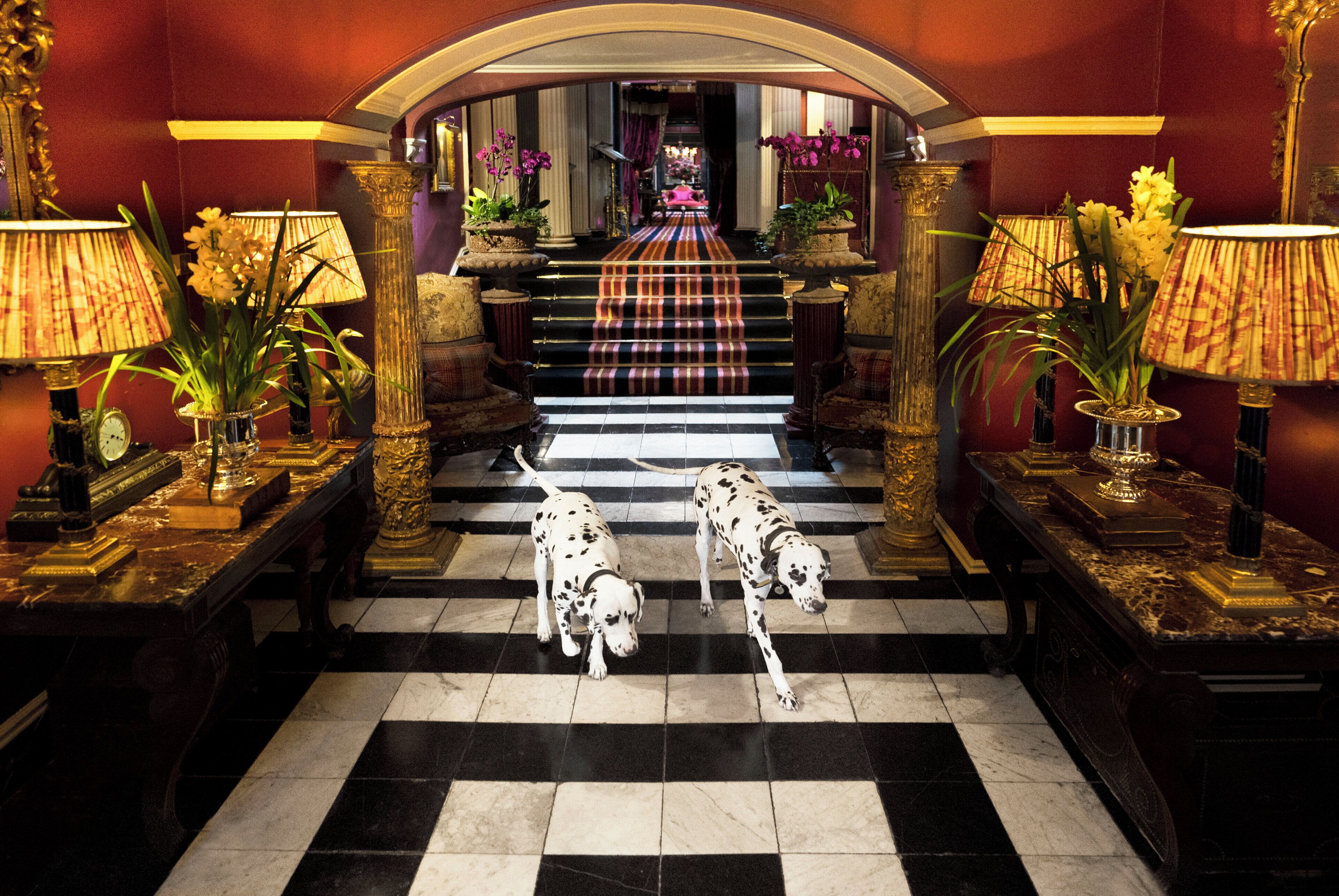 A grand staircase with a checkered floor leading to a room, flanked by ornate lamps and vases.