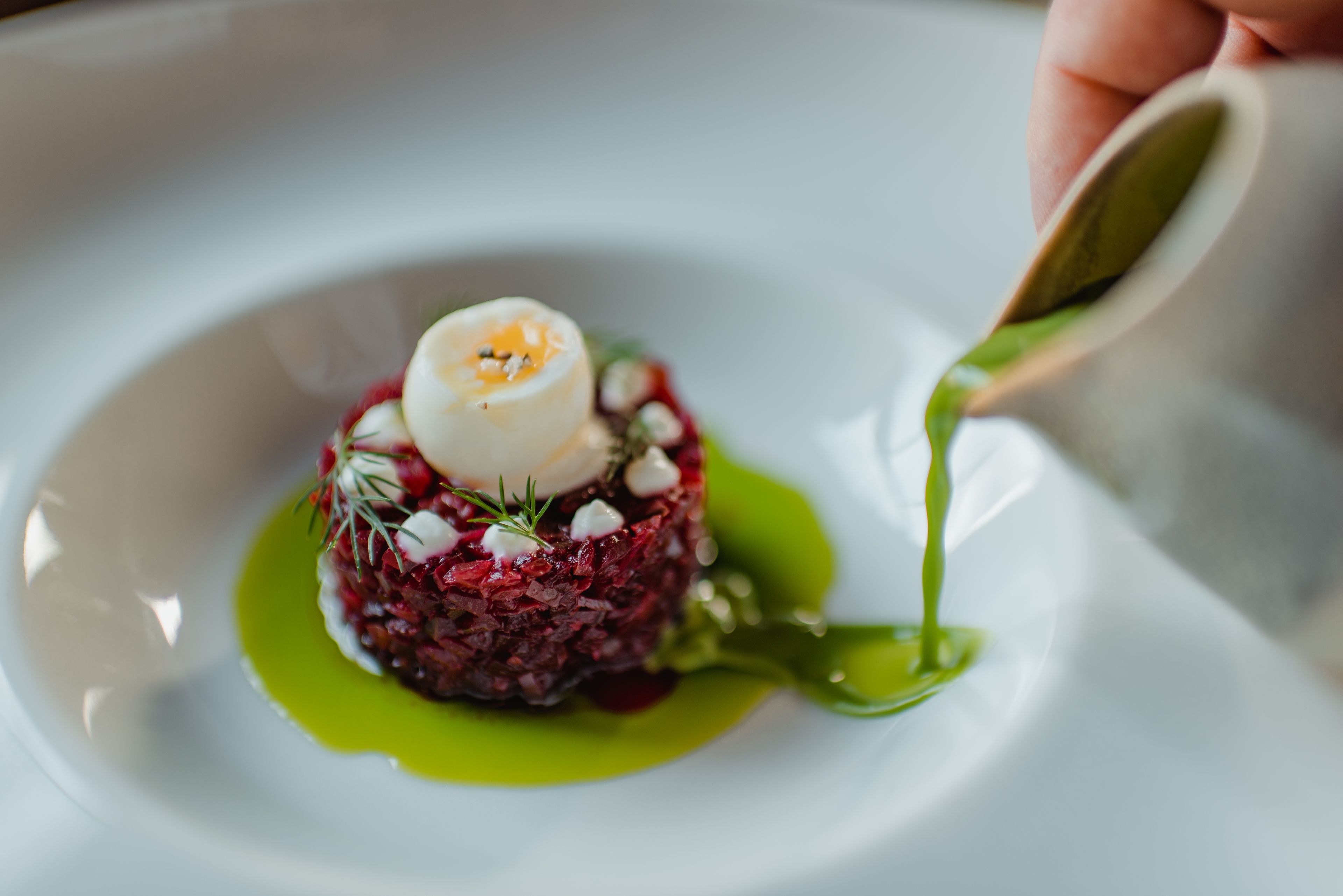 A dish with a white center, surrounded by a green sauce, on a white plate.