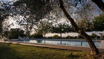 Relax by the serene pool surrounded by lush greenery and a majestic tree.