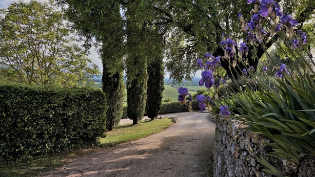 A rural pathway flanked by tall trees and purple flowers, leading to a scenic view of the countryside. - Relais Castel Bigozzi (Monteriggioni)