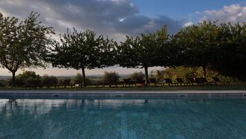 Outdoor pool, sun loungers