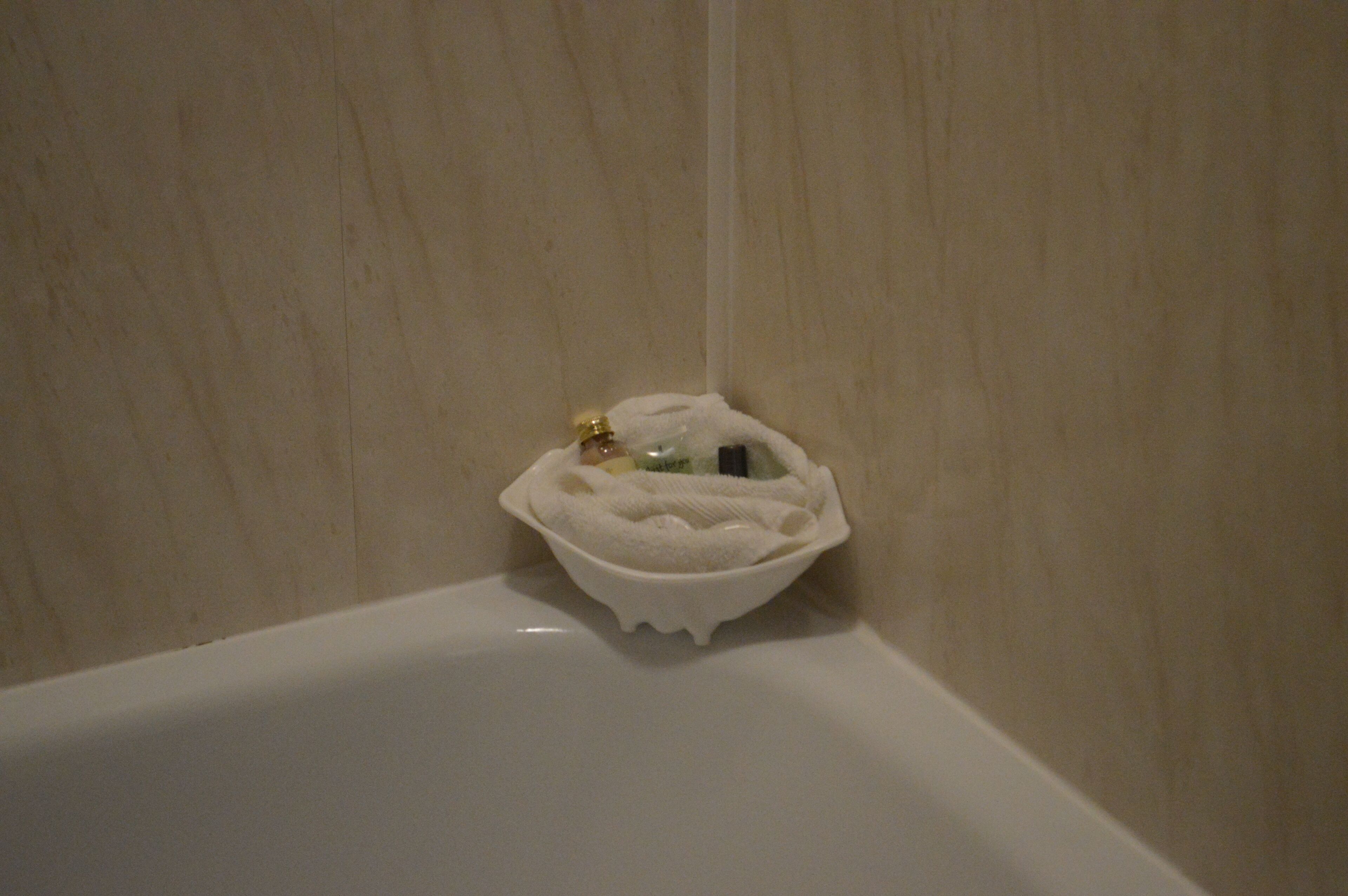 combined shower/bathtub, free toiletries, hair dryer, towels