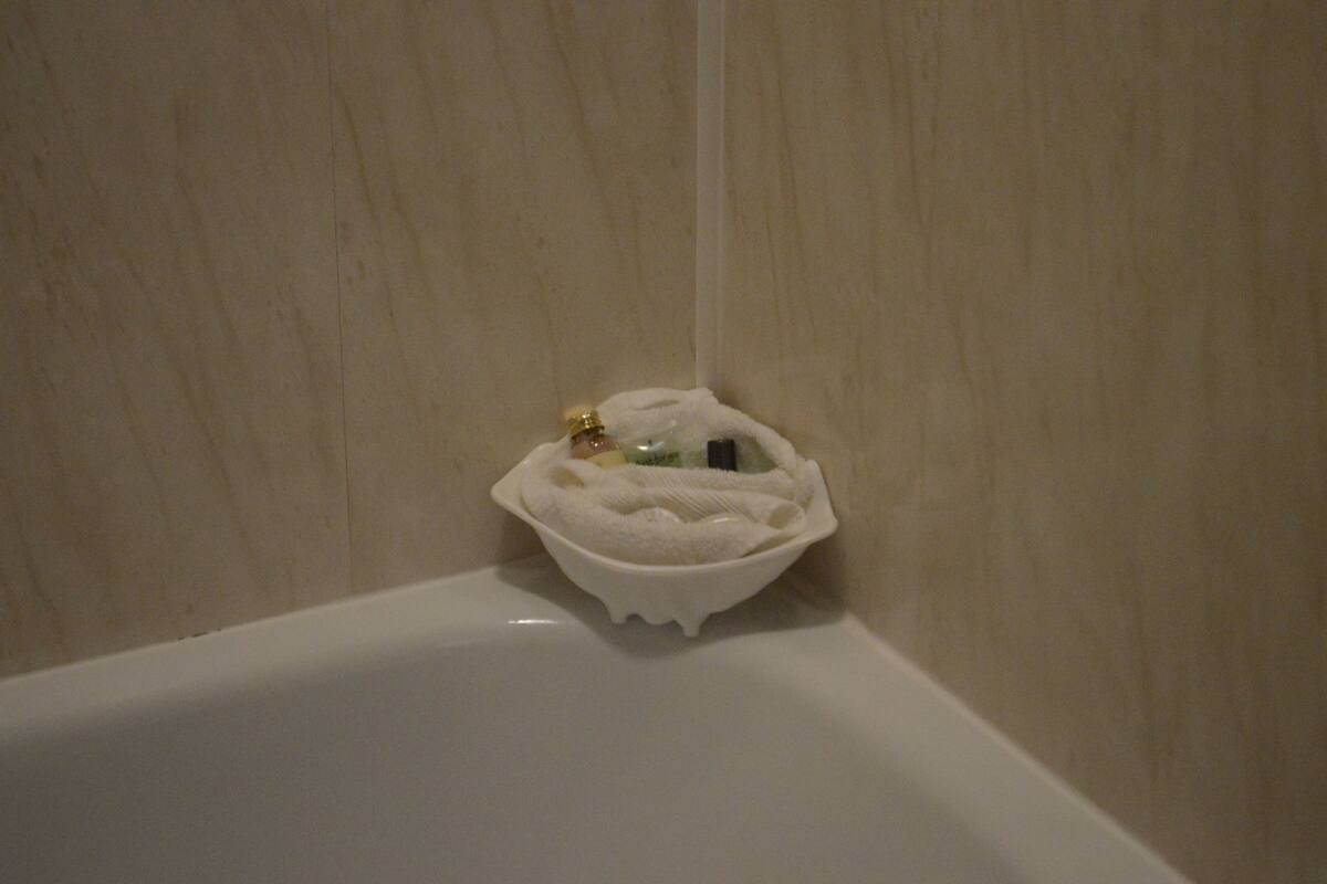 combined shower/bathtub, free toiletries, hair dryer, towels