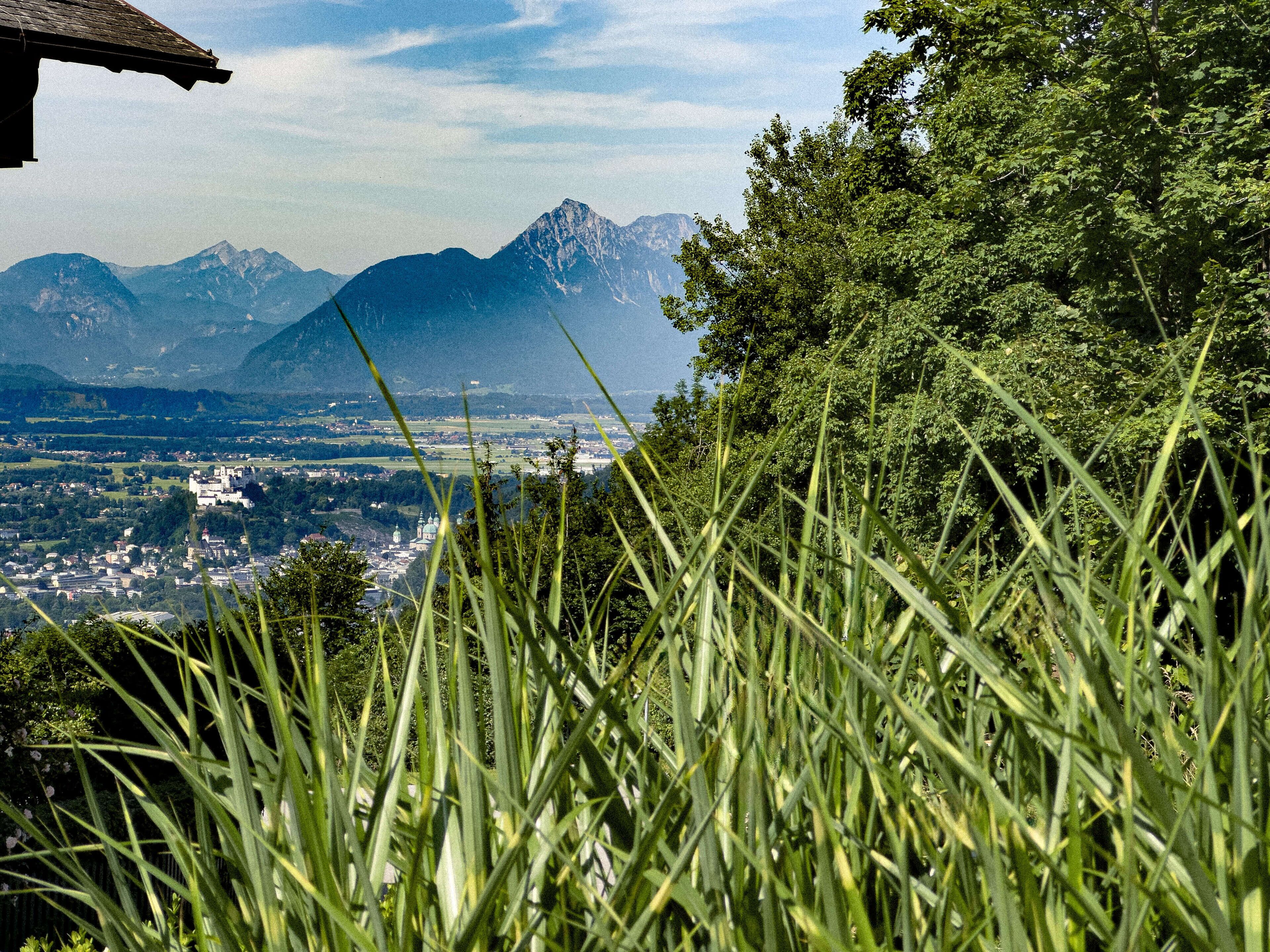 land view from property