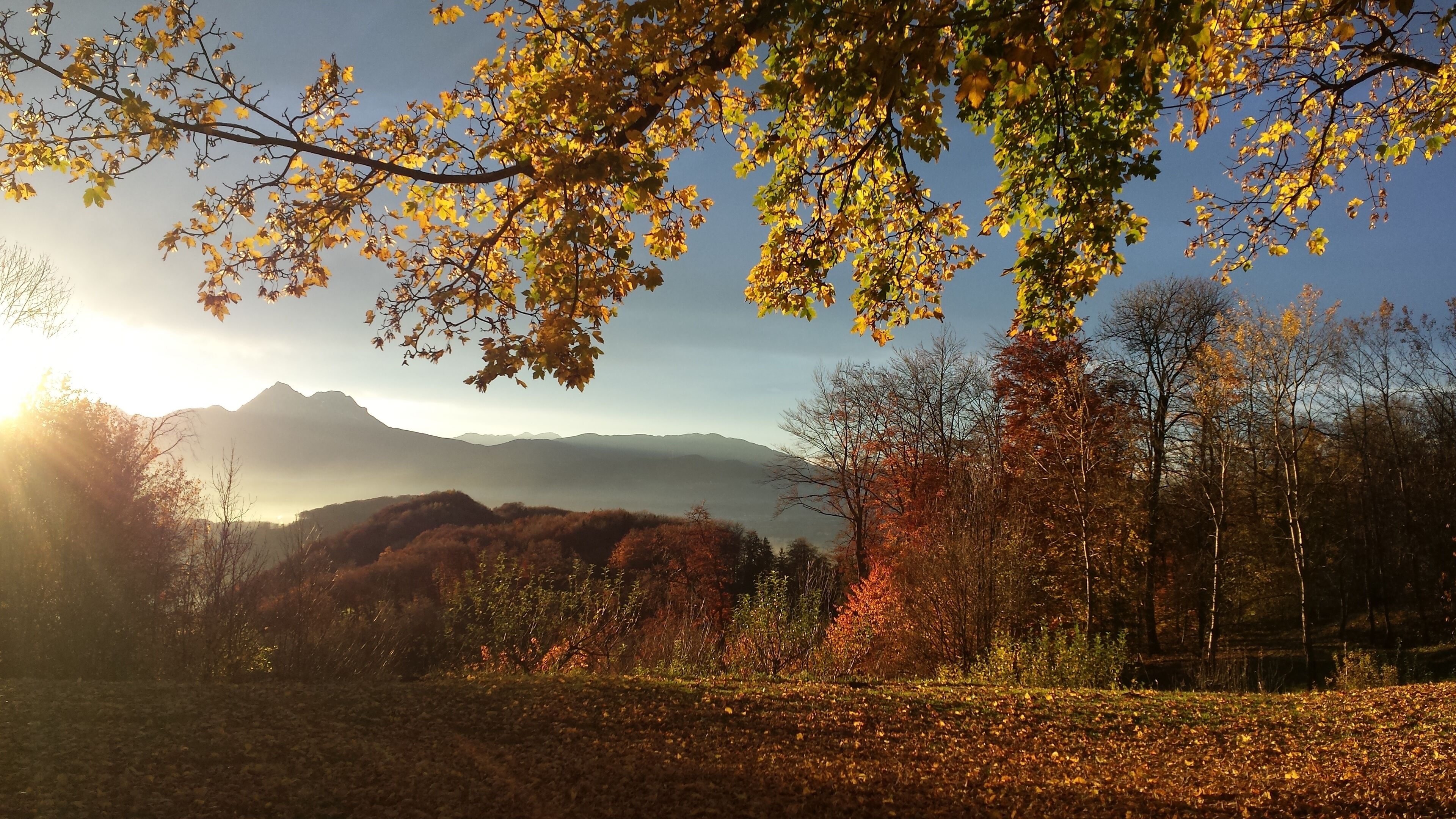 A mountainous landscape with autumn foliage and a clear sky.