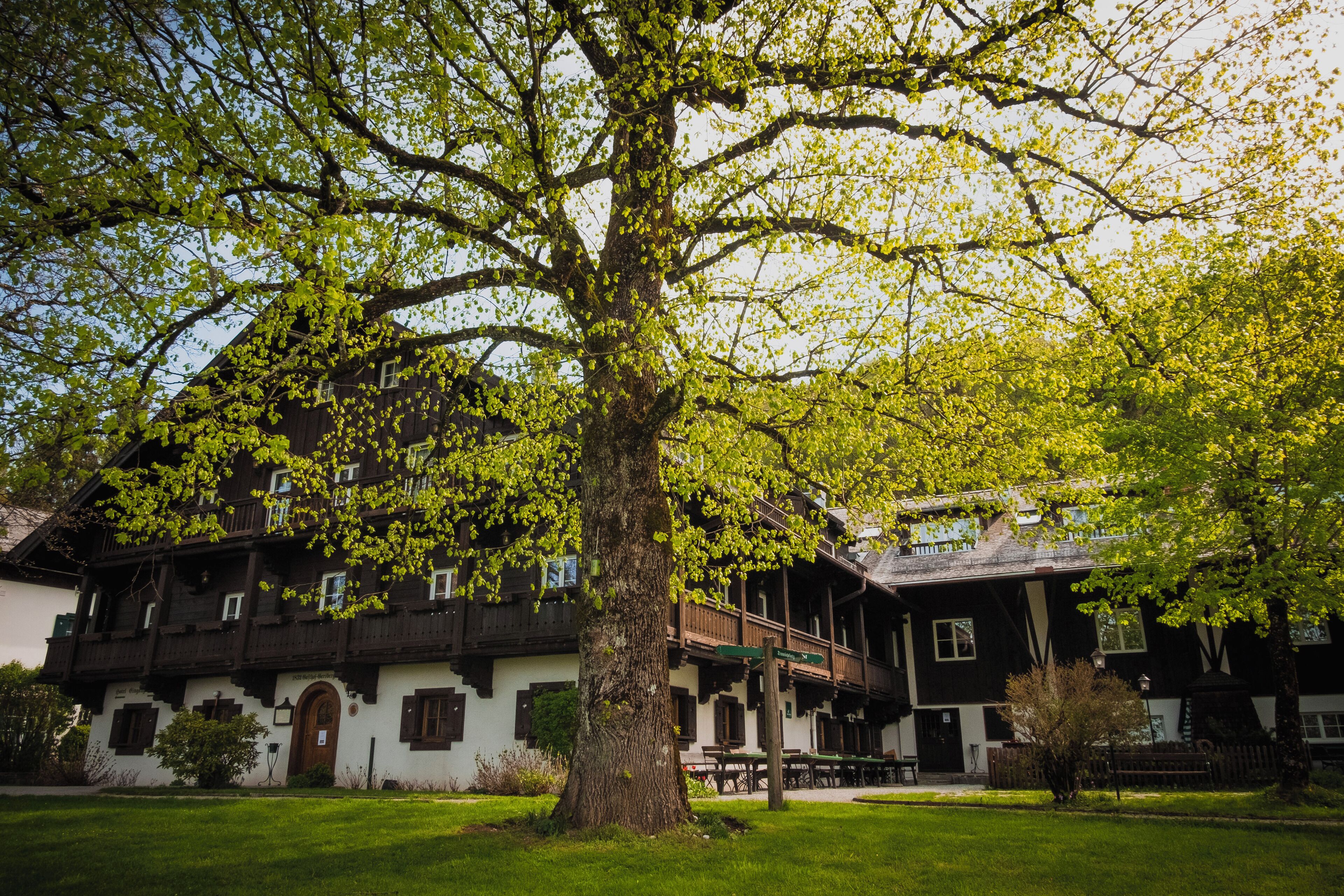 Foto - Romantik Hotel Die Gersberg Alm mit Panoramablick auf Salzburg