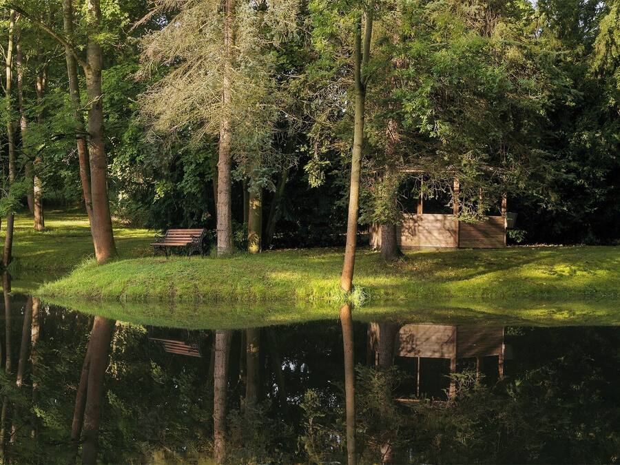 A tranquil park with a pond, benches, and trees.