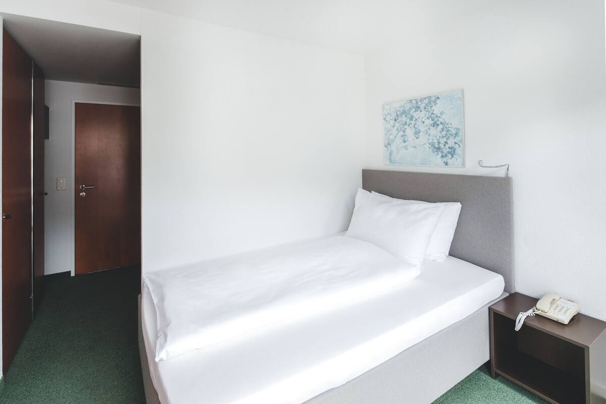 Single Room (incl. SPA entrance) | In-room safe, desk, WiFi (free)