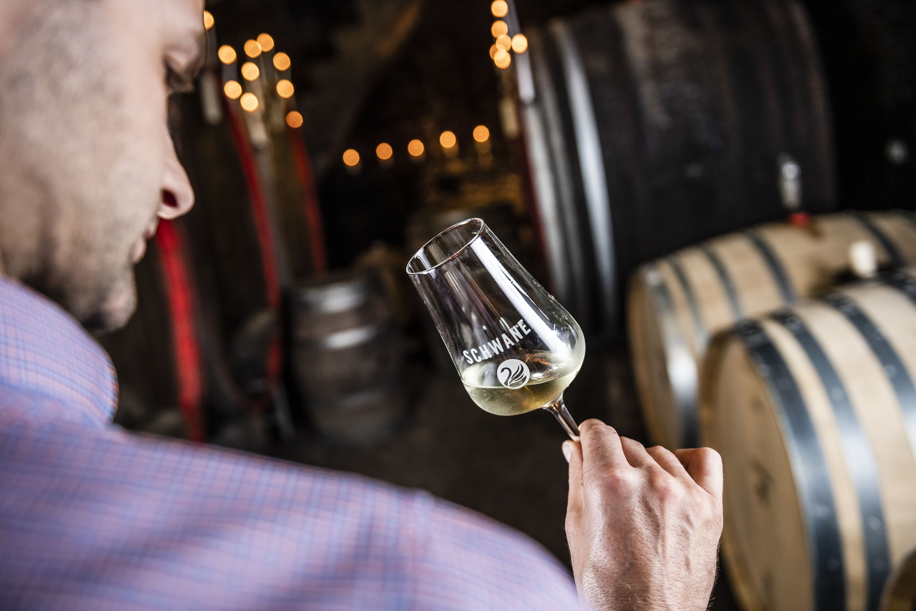 A person holding a wine glass with the text "SCHWARTEN" in a setting with barrels and string lights.