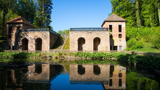 A historic stone building with arched windows and a central tower, surrounded by lush greenery and a calm water body reflecting its structure. - Romantik Hotel Landschloss Fasanerie (Zweibruecken)