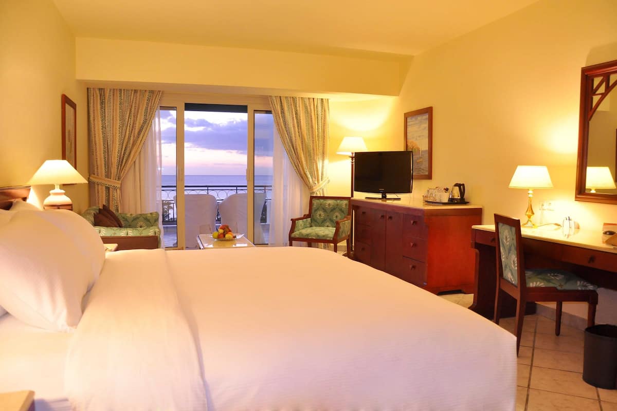 deluxe room | 1 bedroom, egyptian cotton sheets, down duvets, minibar