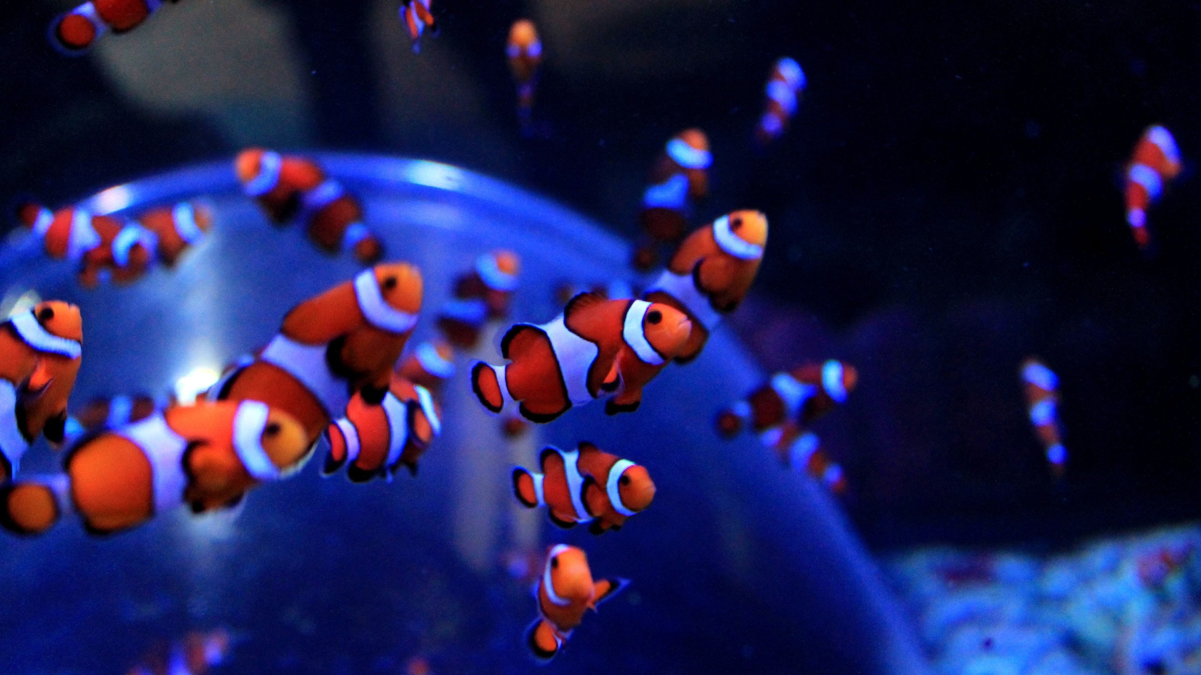 Photo - Holiday Inn Brighton Seafront by IHG