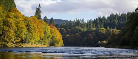 A river with a forested bank and a boat in the water.