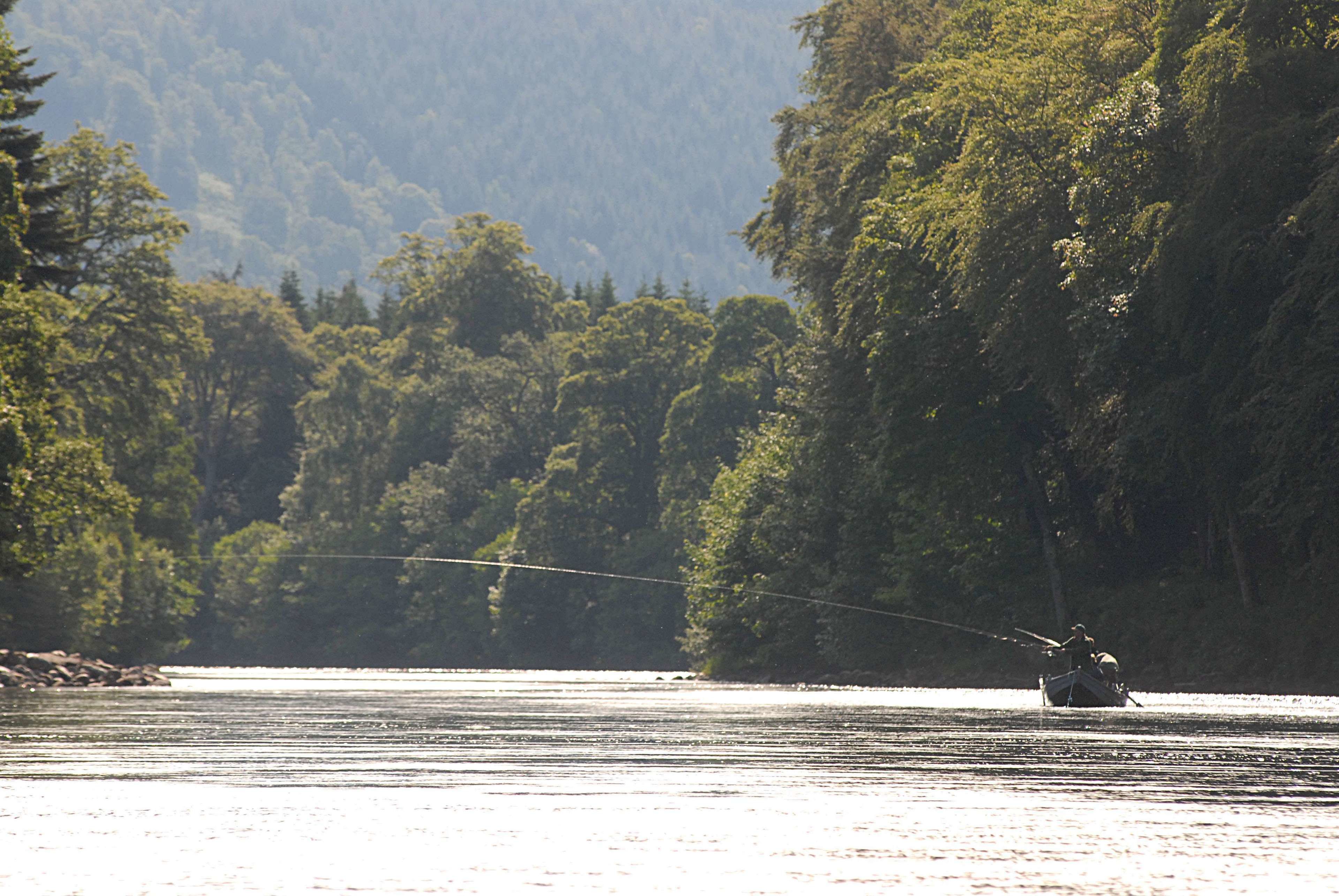 A helicopter landing on a river surrounded by dense forest.