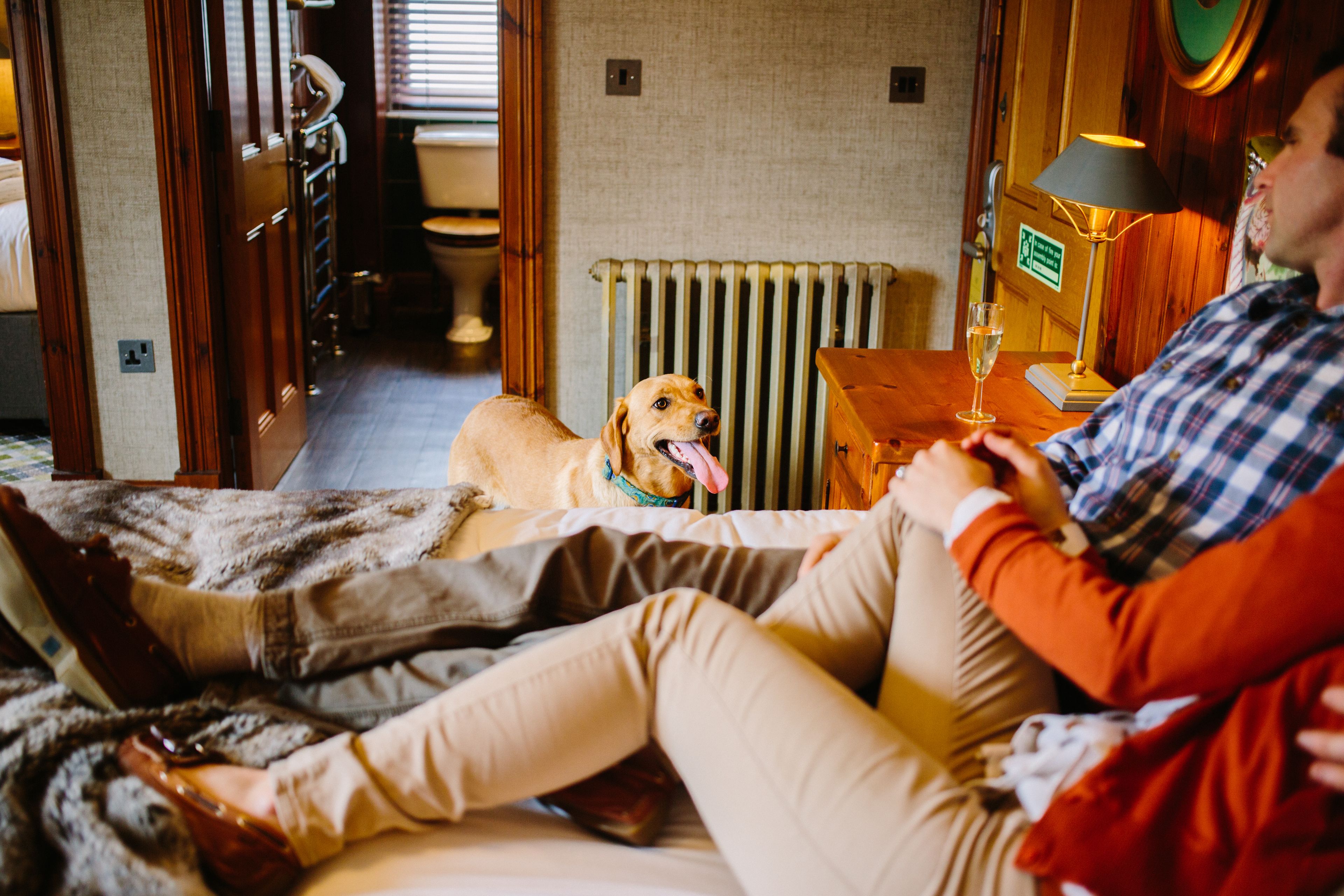 A person lying on a bed in a room with a dog, a radiator, and a lamp on a table.